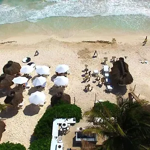 zulum-beach-club-and-cabanas.allrivieramayahotels.com/