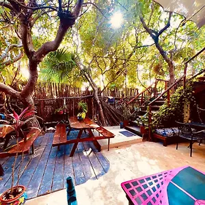  Auberge de jeunesse Holbox Hostal